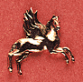 Pegasus Pegasus