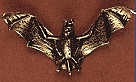 Bat Bat